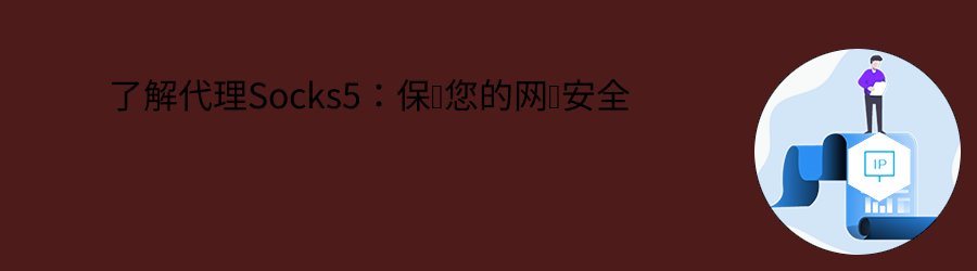 了解代理Socks5:保护您的网络安全 大数据爬虫