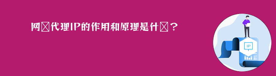 高匿http代理ip